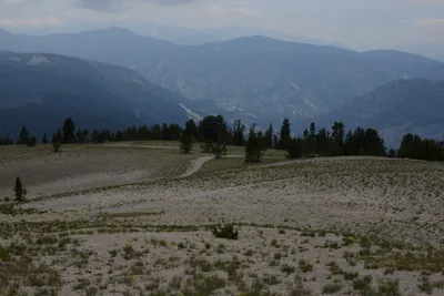 DSC_3104 (Large).JPG